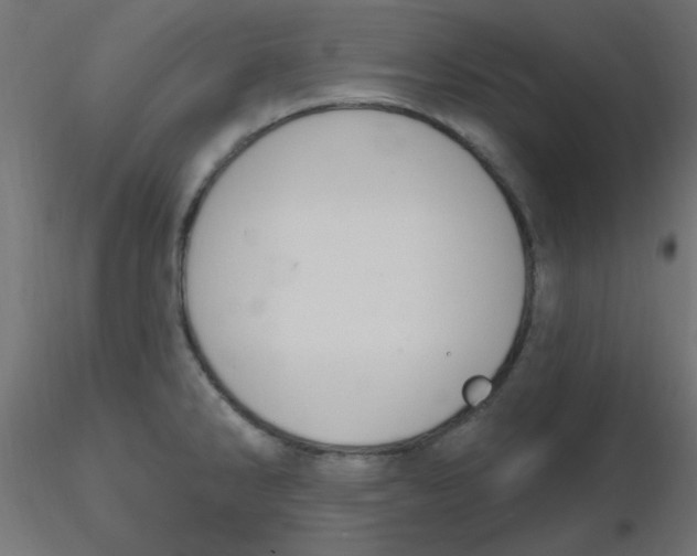 X0000116631286200912312152