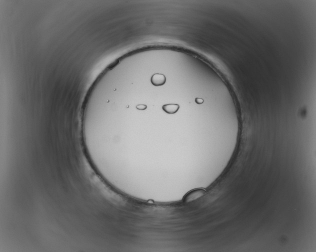X0000116631287200912312152