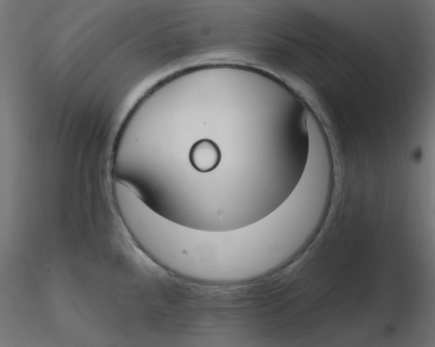 X0000116631288200912312152