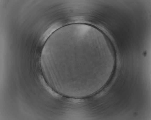 X0000116631289200912312152