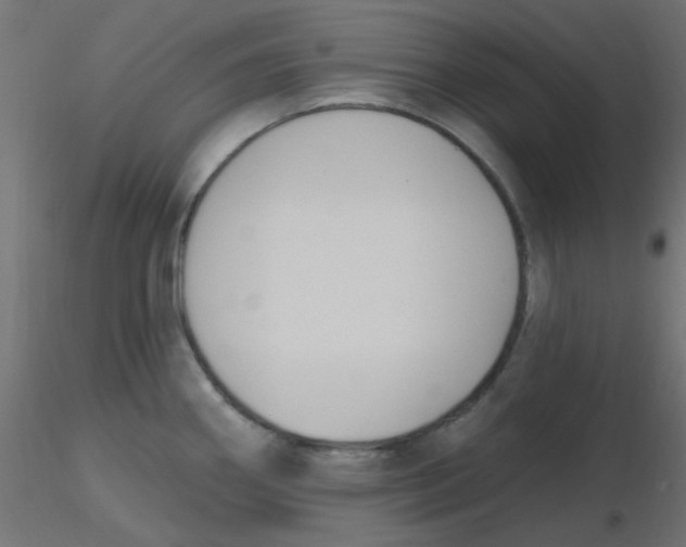 X0000116631290200912312152