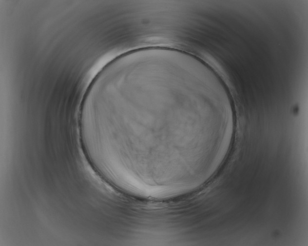 X0000116631291200912312152
