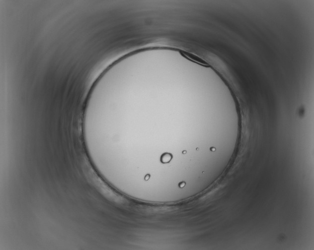 X0000116631292200912312152