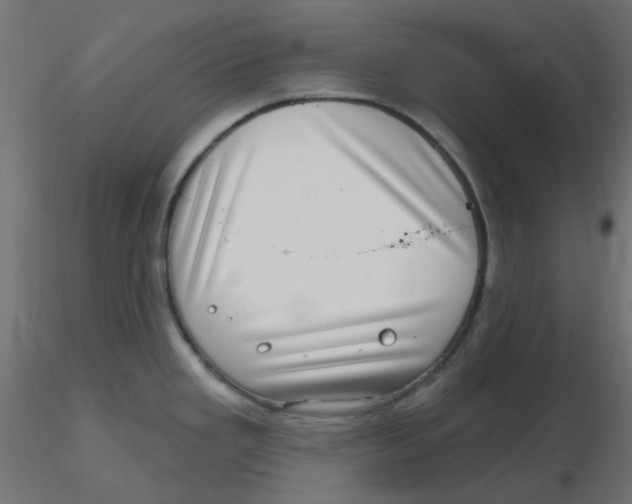 X0000116631293200912312152