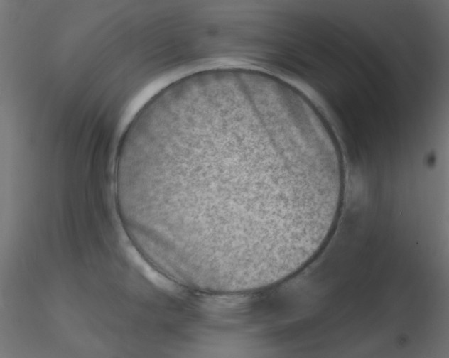 X0000116631294200912312152