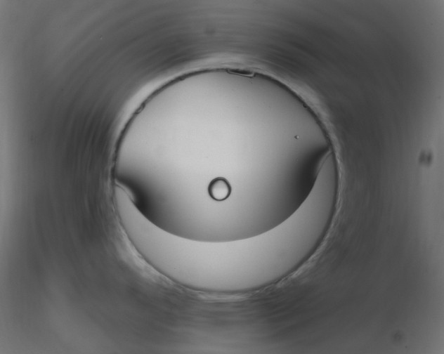 X0000116631296200912312152