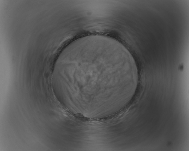 X0000116631297200912312151
