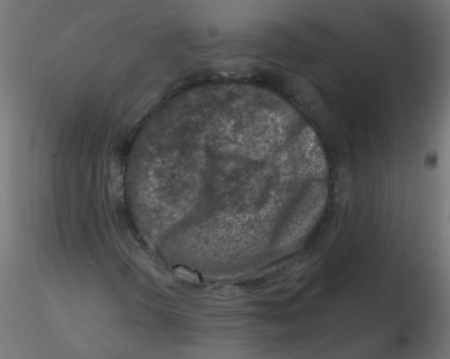 X0000116631298200912312151