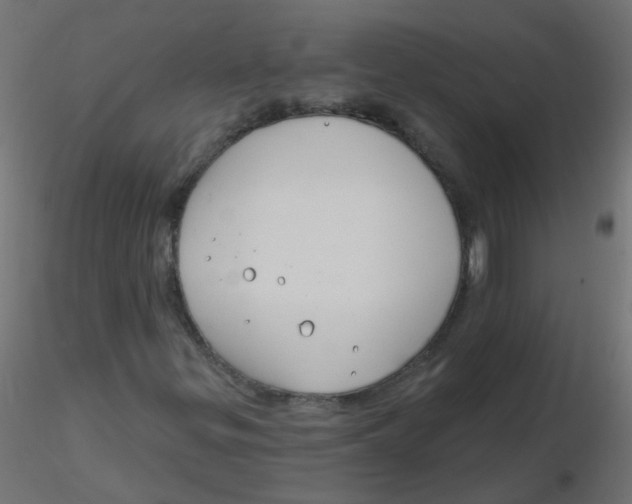 X0000116631299200912312151