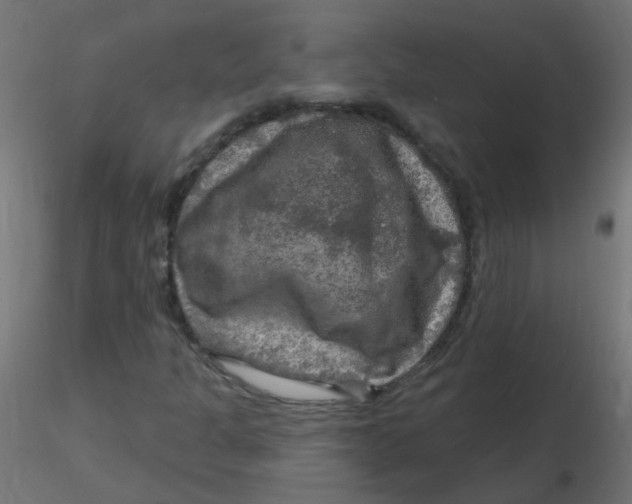 X0000116631301200912312151