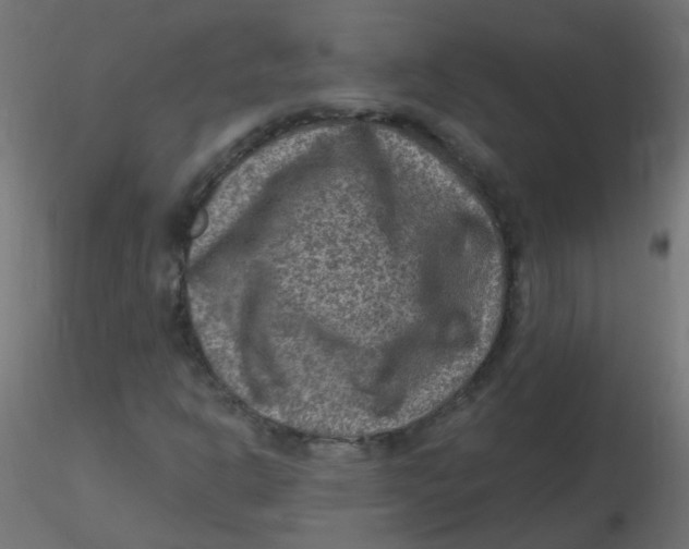 X0000116631302200912312151
