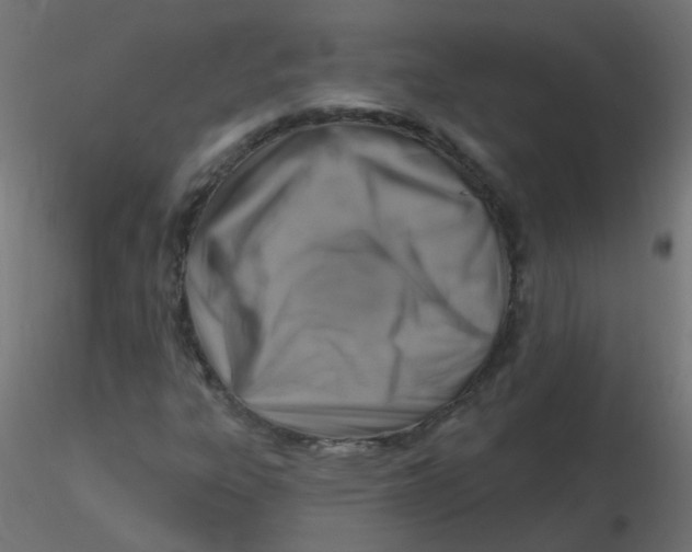 X0000116631303200912312151