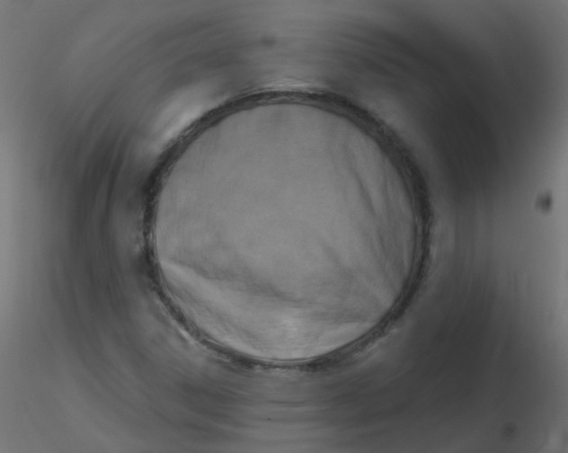 X0000116631306200912312151