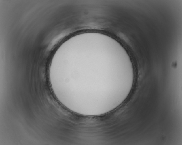 X0000116631307200912312151