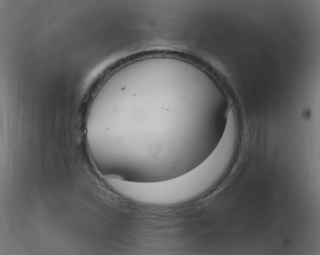 X0000116631310200912312151