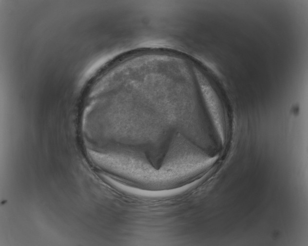X0000116631311200912312151