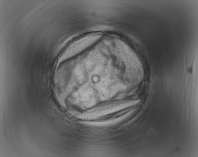 X0000116631313200912312151
