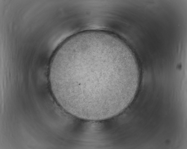 X0000116631314200912312151