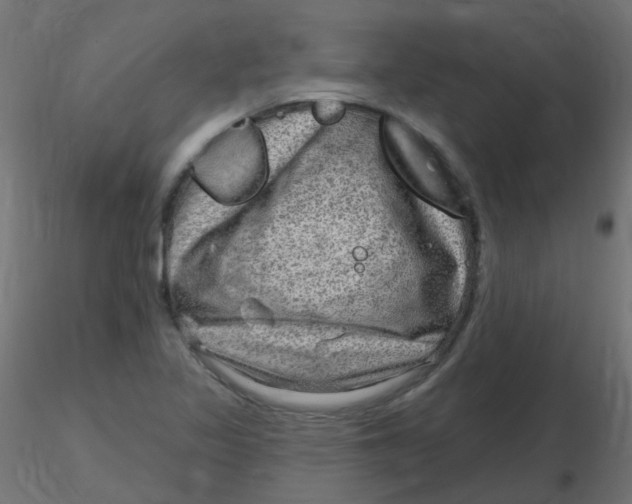 X0000116631317200912312151
