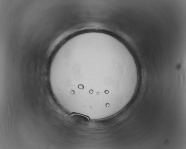 X0000116631318200912312151
