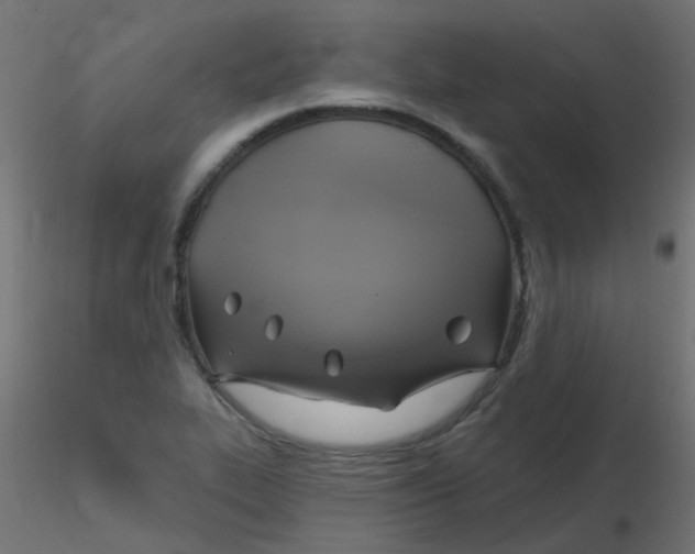 X0000116631319200912312151