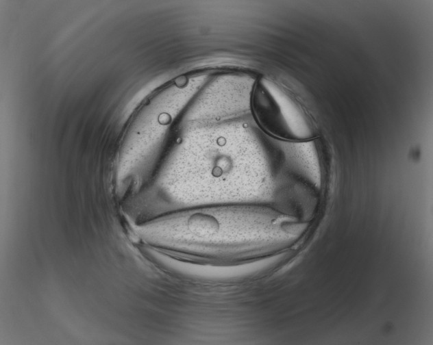 X0000116631321200912312151