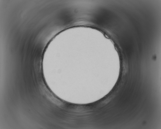 X0000116631322200912312151