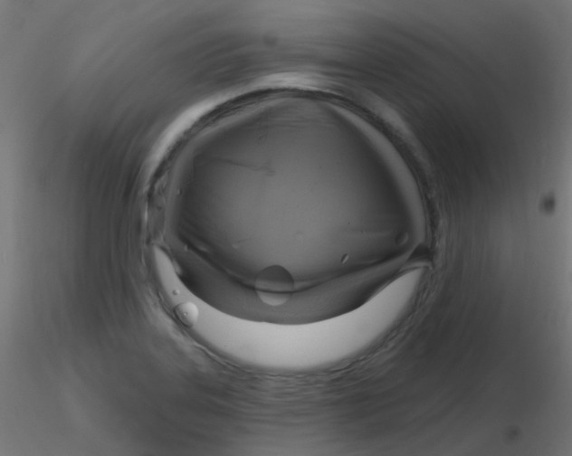 X0000116631323200912312151