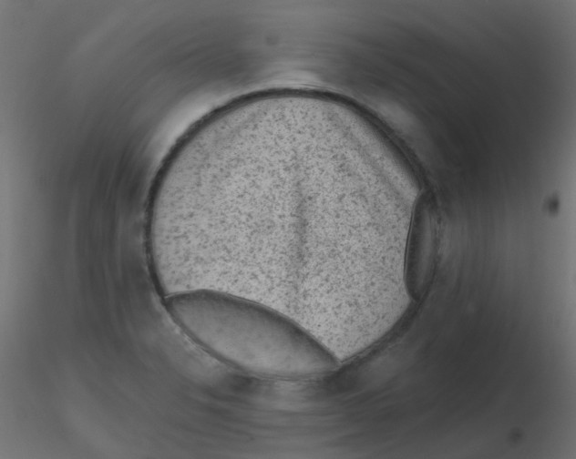 X0000116631326200912312151
