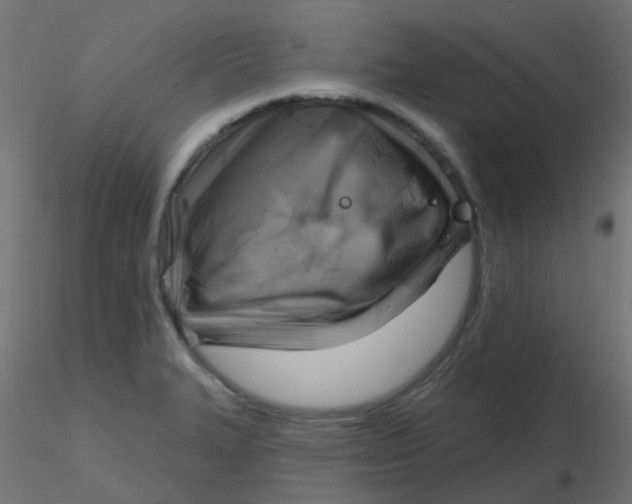 X0000116631327200912312151