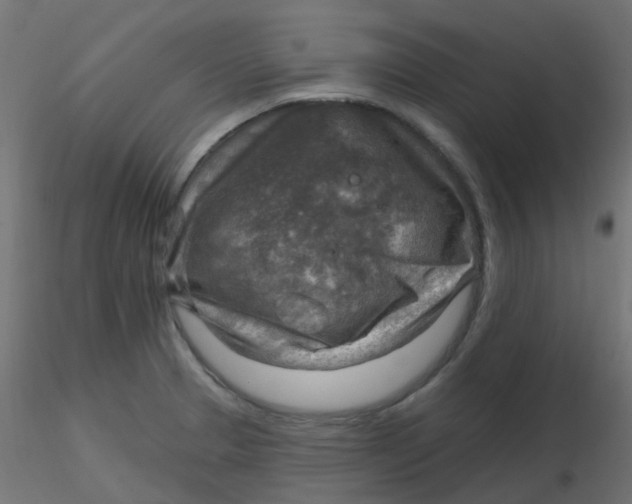 X0000116631329200912312151