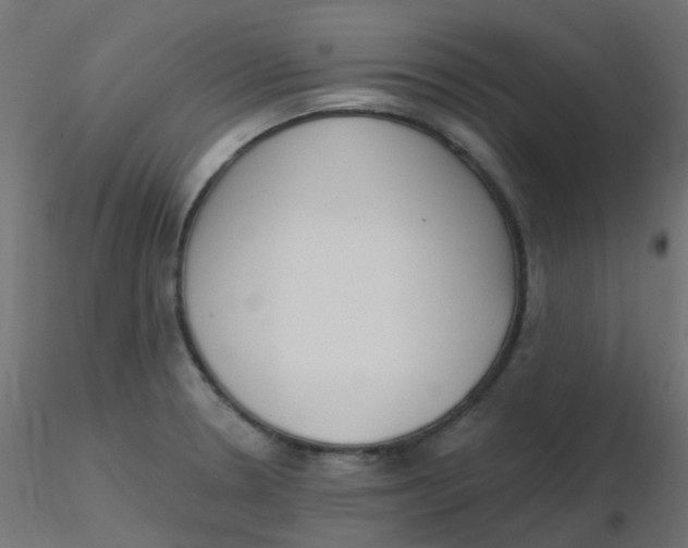 X0000116631330200912312152