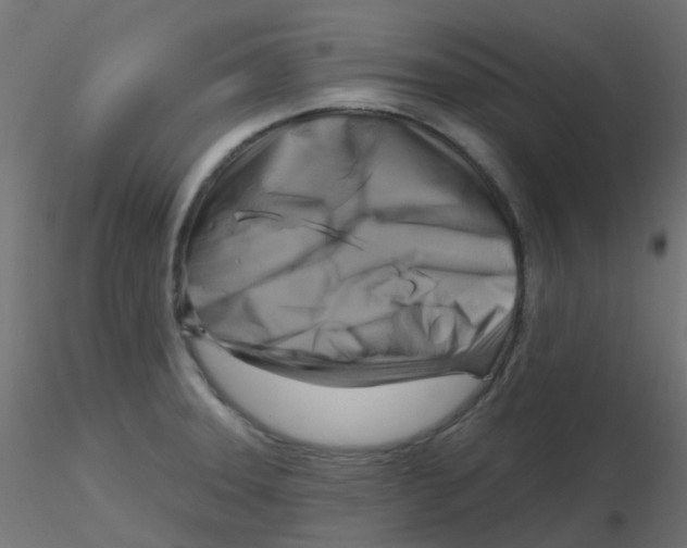 X0000116631331200912312152