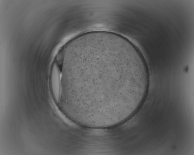 X0000116631333200912312152