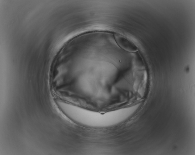 X0000116631334200912312152