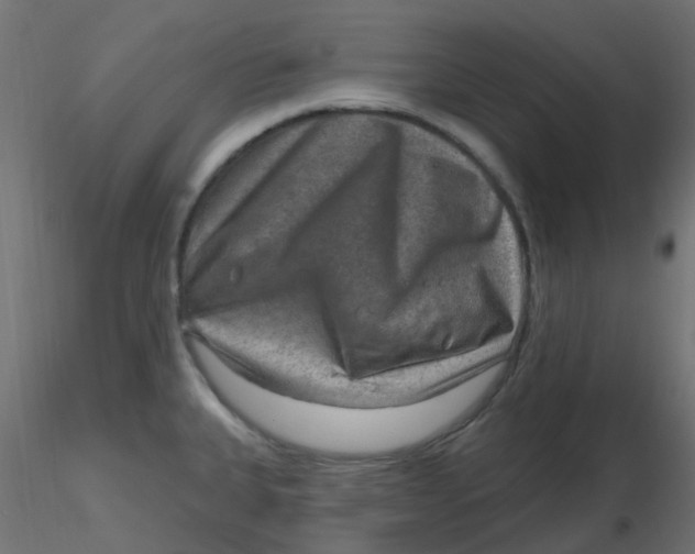 X0000116631335200912312152