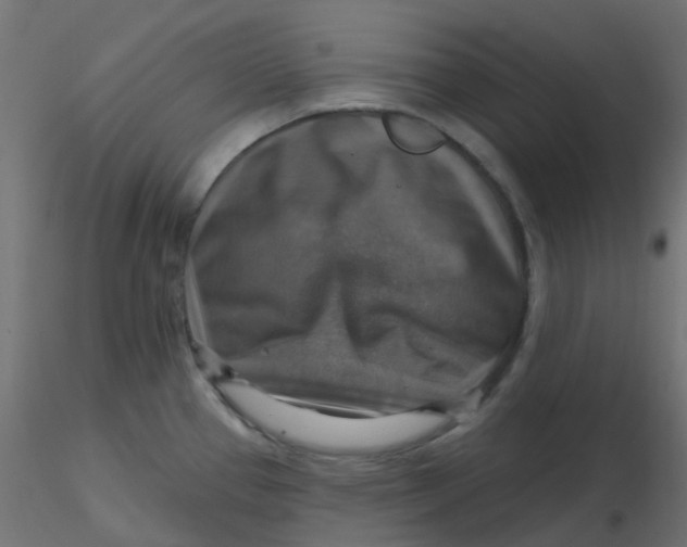 X0000116631337200912312152