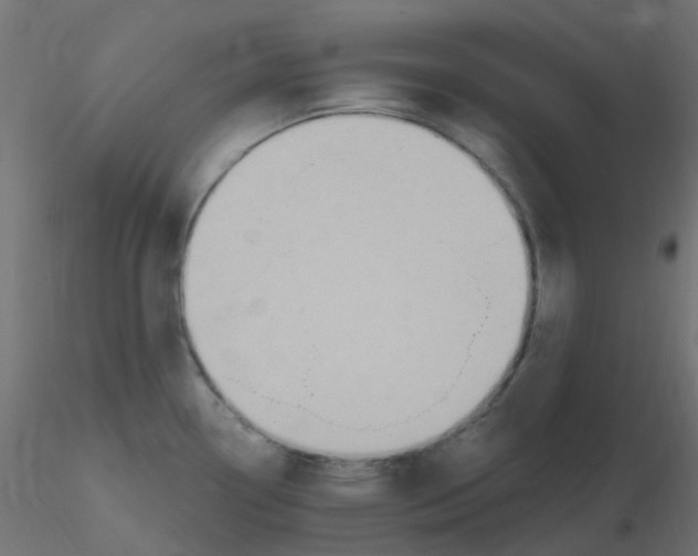 X0000116631338200912312152