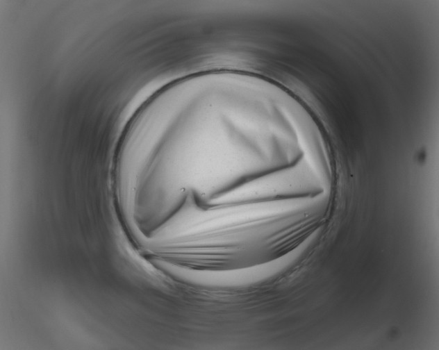 X0000116631339200912312152