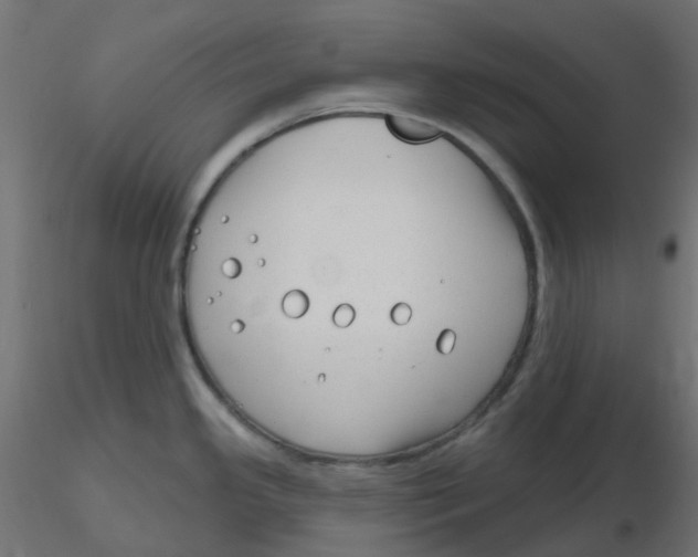 X0000116631341200912312152