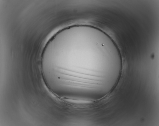X0000116631342200912312152