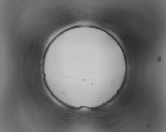 X0000116631343200912312152