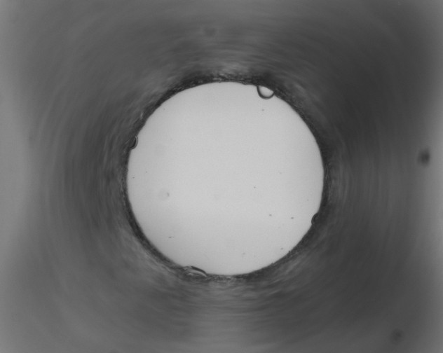 X0000116631345200912312151