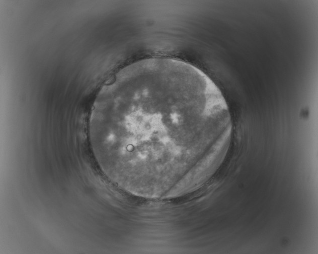X0000116631346200912312151
