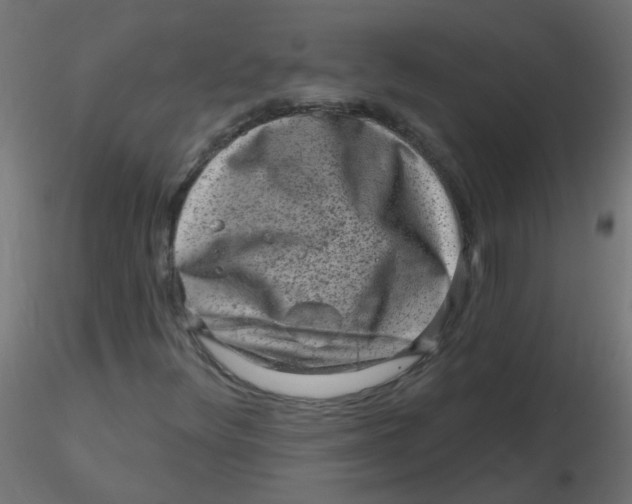 X0000116631348200912312151