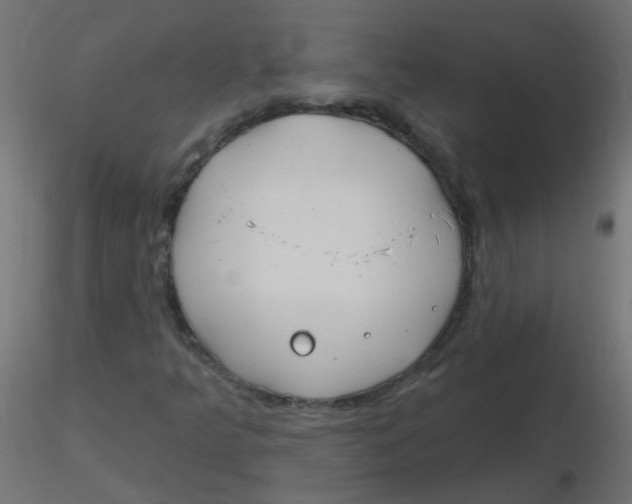 X0000116631349200912312151