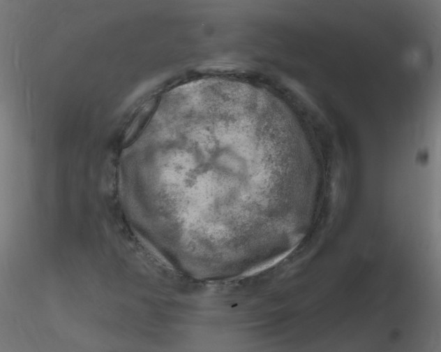 X0000116631350200912312151