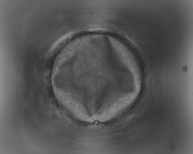 X0000116631351200912312151