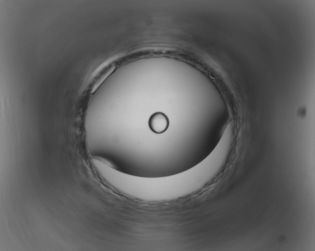 X0000116631352200912312151