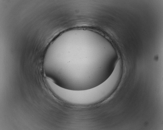 X0000116631353200912312151